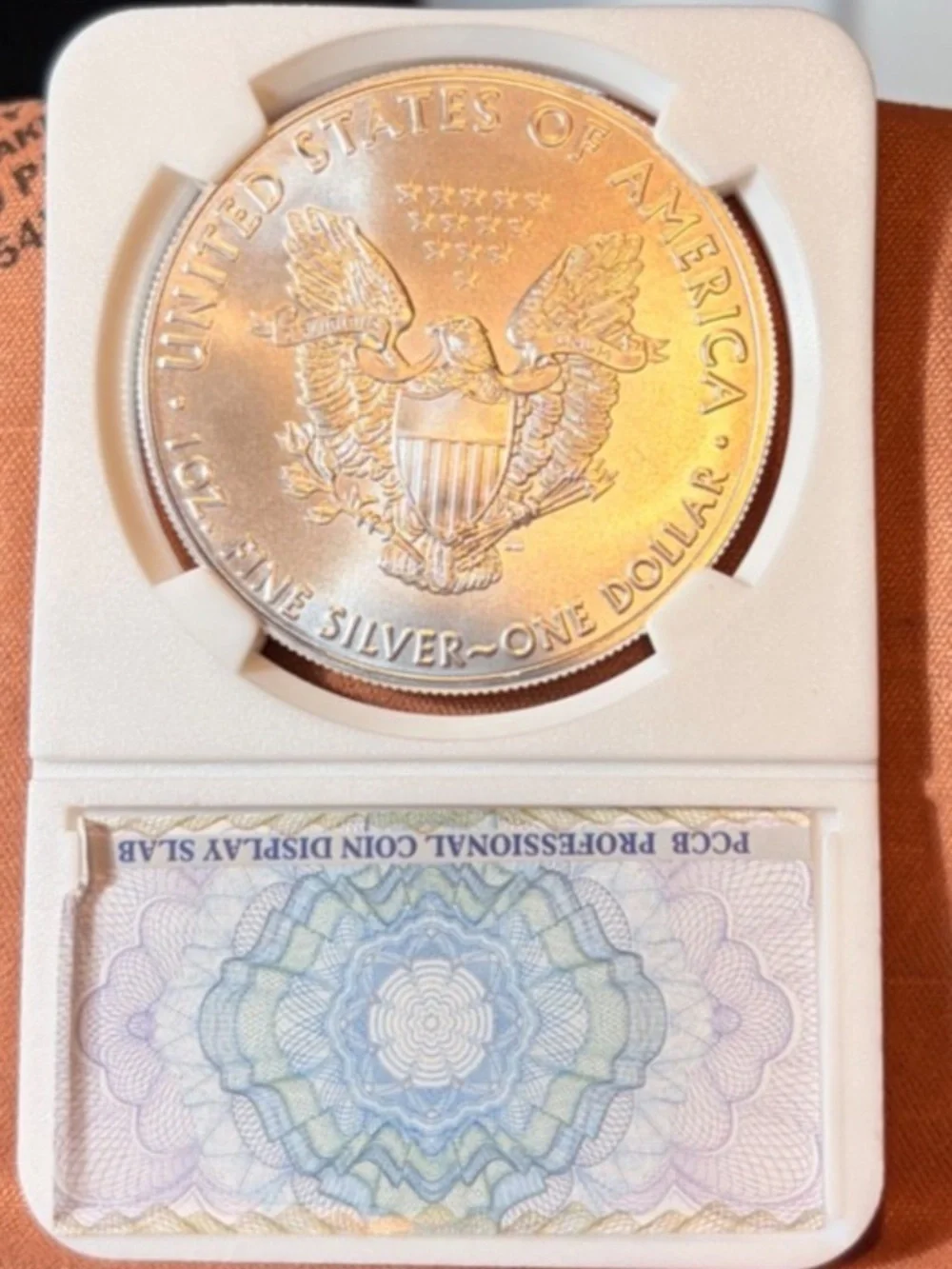 2020 Walking Liberty Mint Silver Dollar Slabbed
